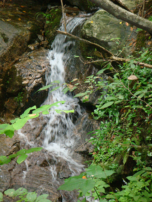 dsc00946_.jpg