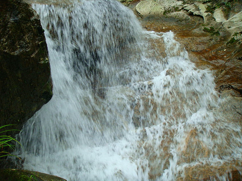 dsc00993_.jpg