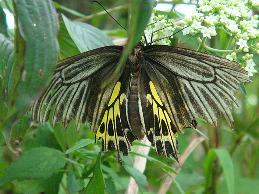 dsc01029_.jpg
