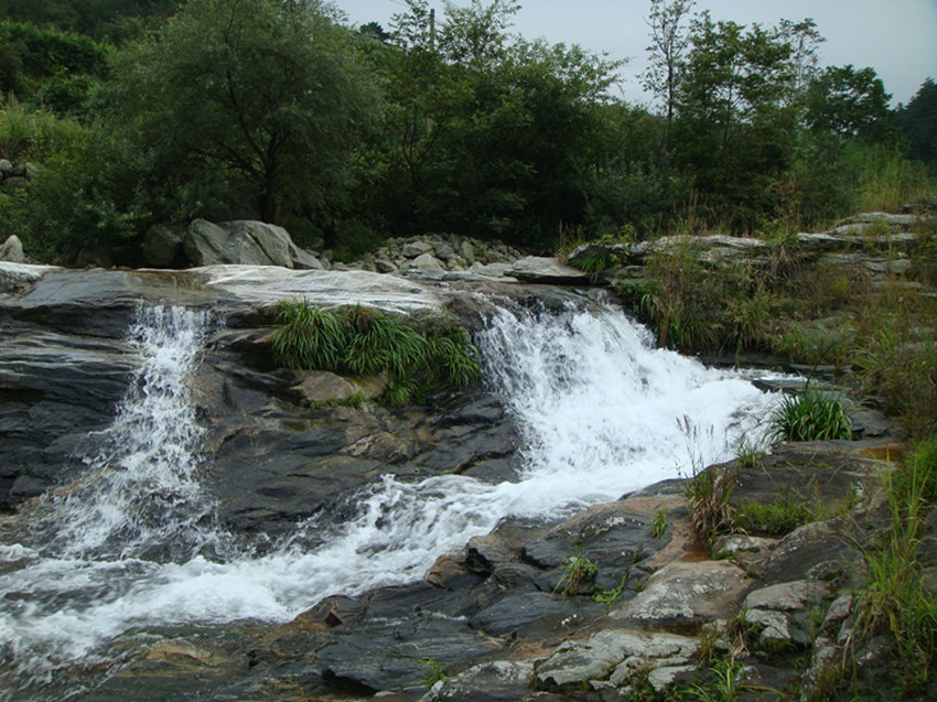 dsc01033_.jpg