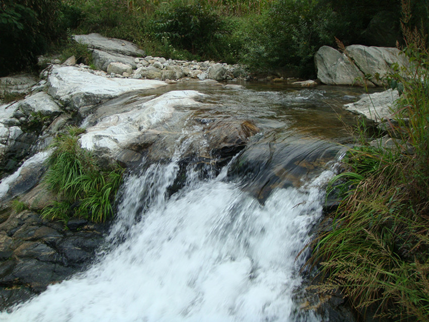 dsc01037_.jpg