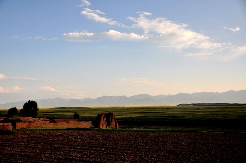 dsc_03841.jpg