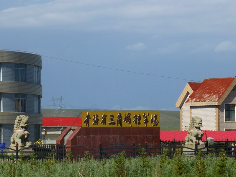 p1100643.jpg