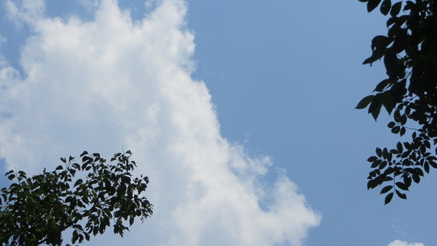 122.jpg