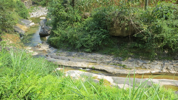 119.jpg