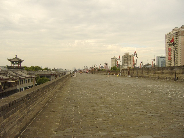 123f959227cg213.jpg