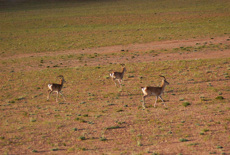 dsc_9028.jpg