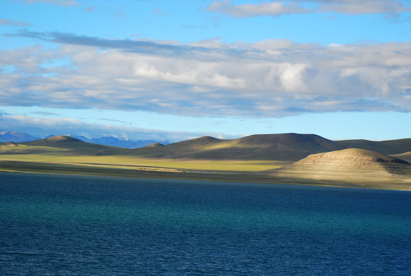 dsc_9226.jpg