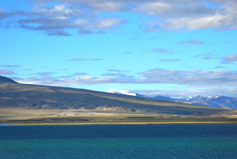 dsc_9233.jpg