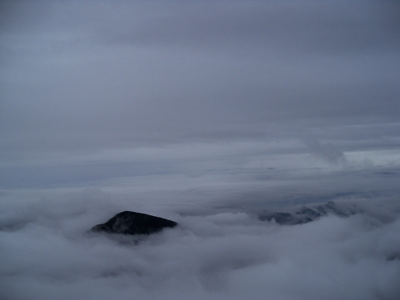 100_2950_.jpg