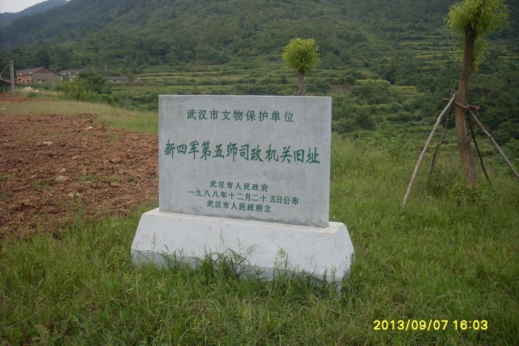sl384268.jpg