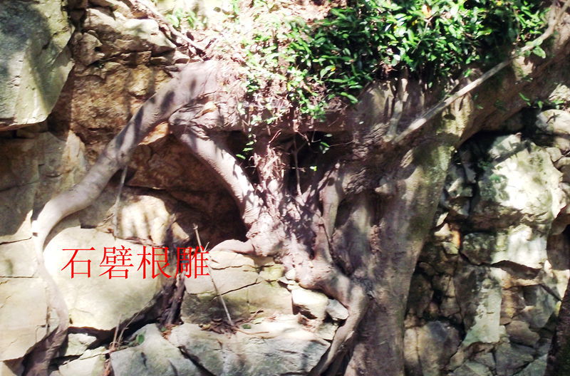 dscf5043.jpg