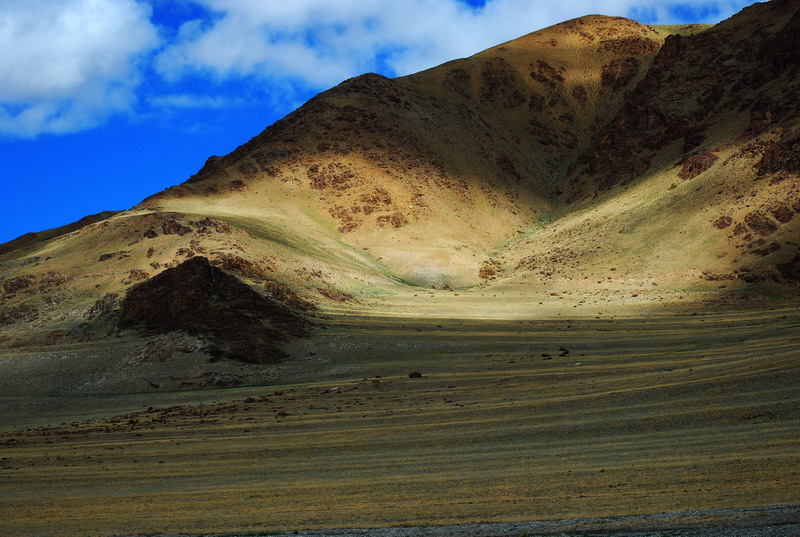 dsc_9352.jpg