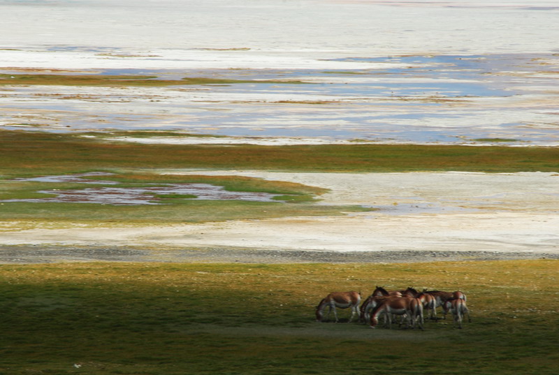 dsc_9417.jpg