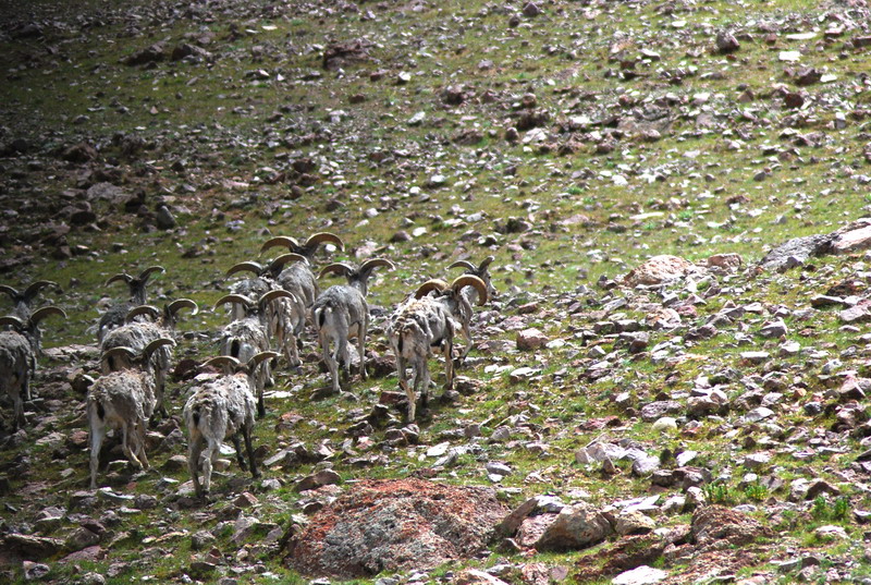 dsc_9448.jpg