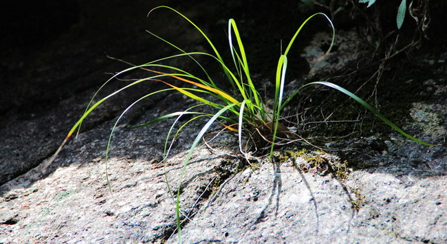 img_7953_缩小大小_缩小大小.jpg