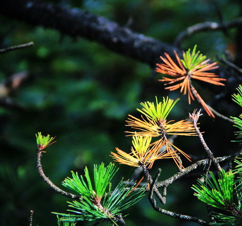 img_8033_缩小大小_缩小大小.jpg