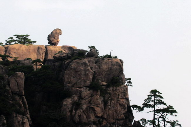 img_8147_缩小大小_缩小大小.jpg