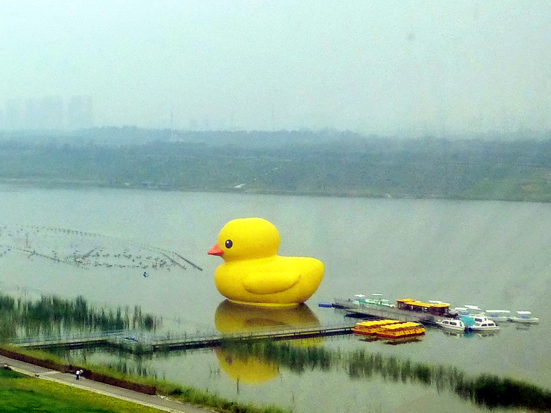 p1120113.jpg
