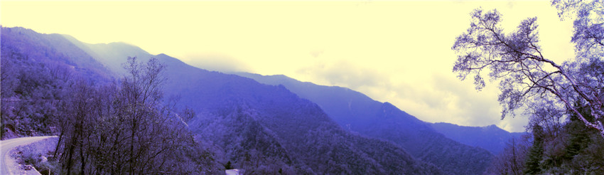 太白山 1.jpg