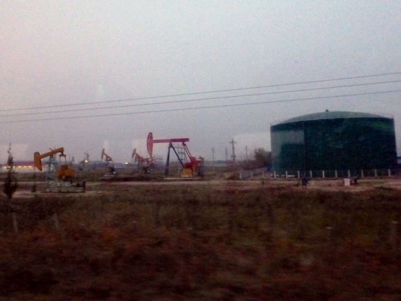 p1120160.jpg