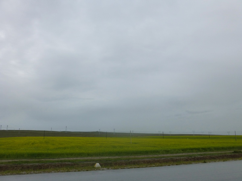 p1100810.jpg