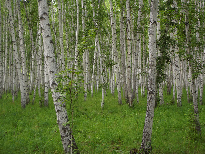 dscf3402_.jpg