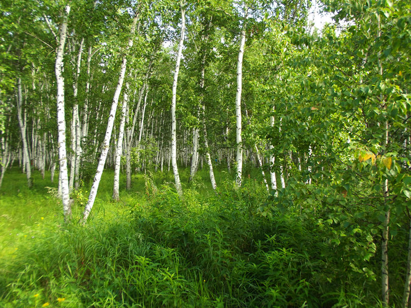 dscf3414_.jpg