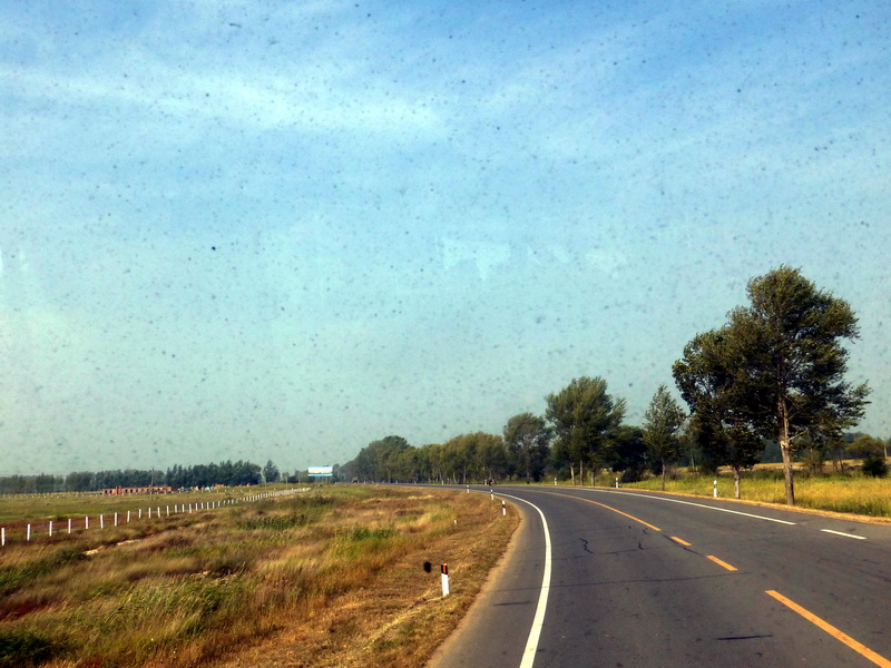 p1120171.jpg