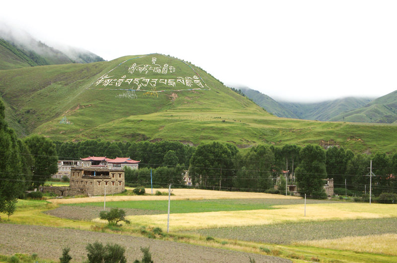 imgp8213a.jpg