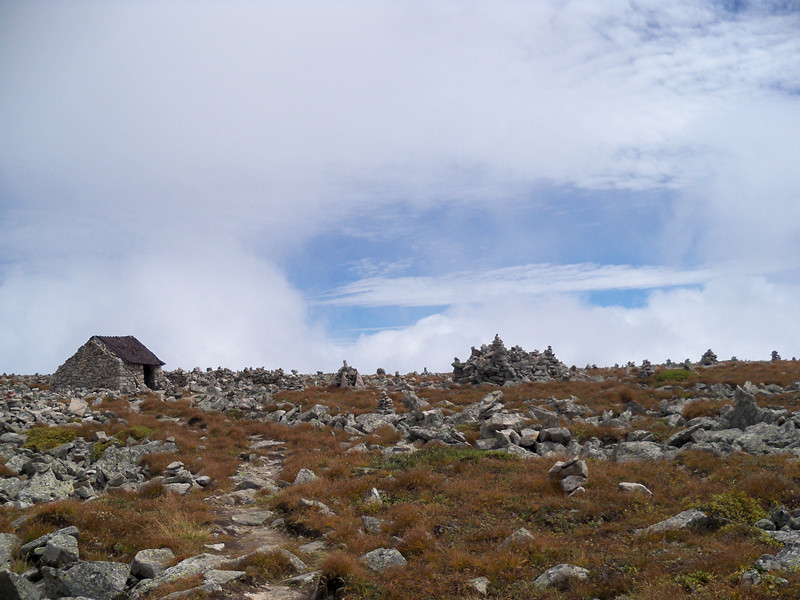 100_3026_.jpg
