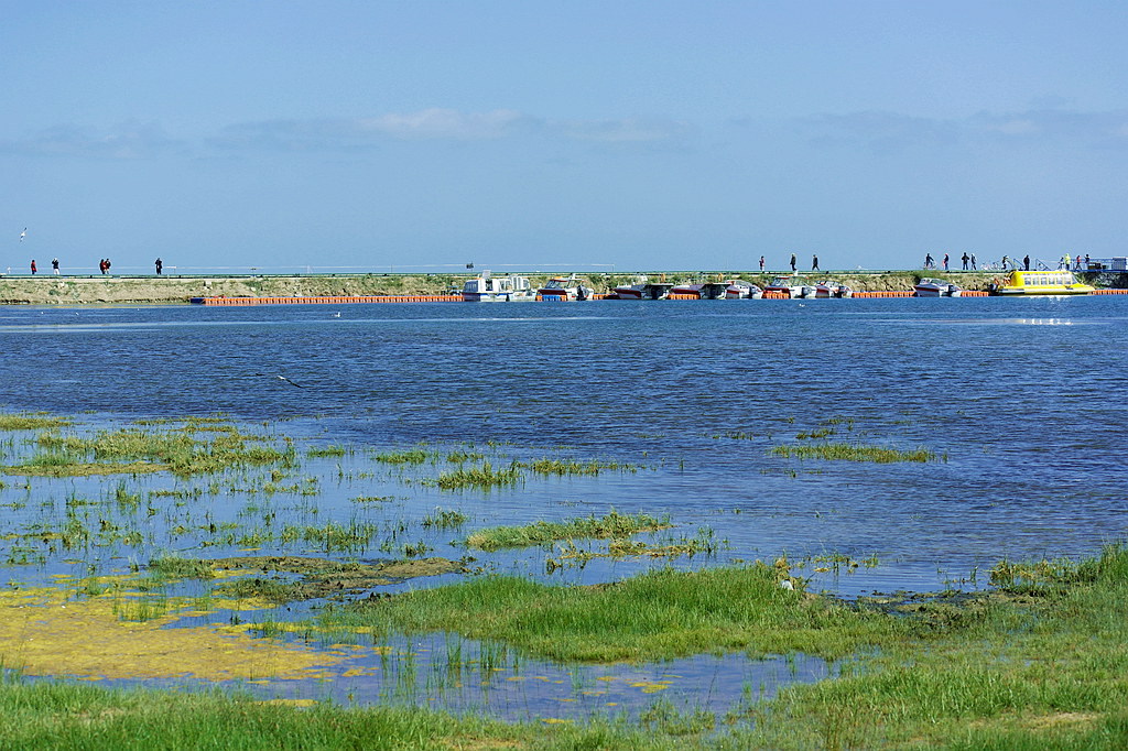 sam_0379.jpg
