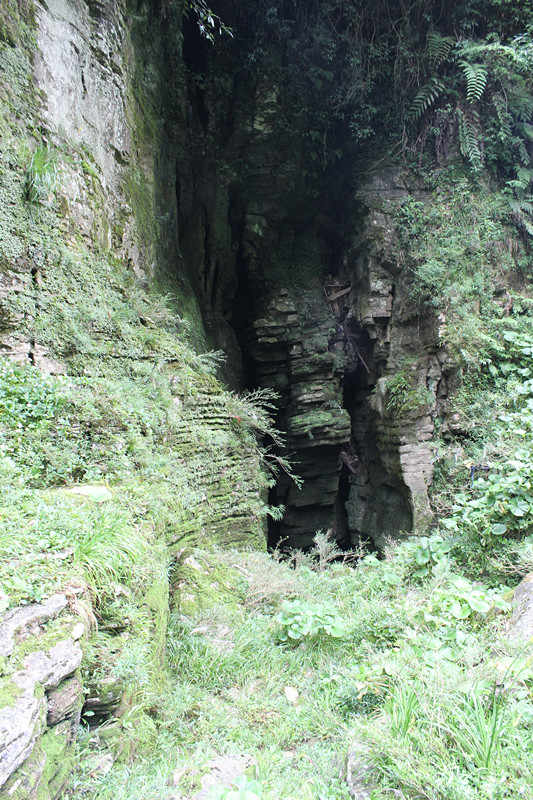 img_2477_副本.jpg