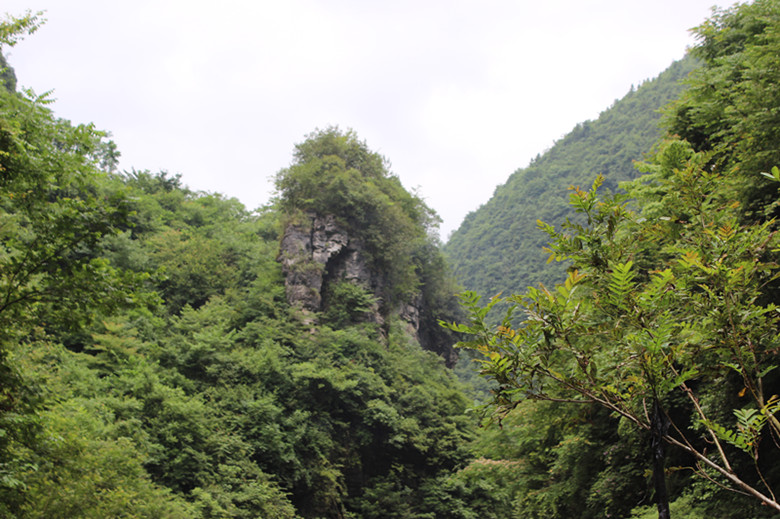 img_2481_副本.jpg