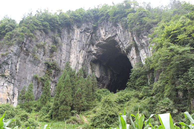img_2512_副本.jpg
