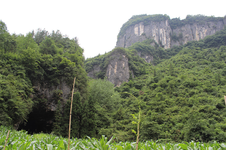 img_2513_副本.jpg