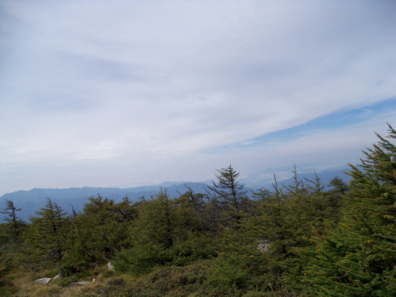 100_3105_.jpg