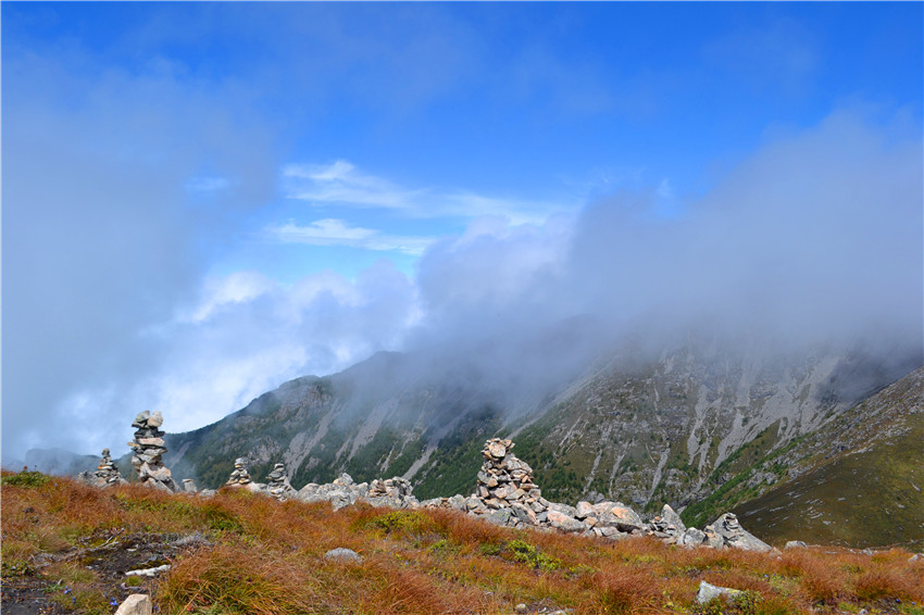 dsc_0217.jpg