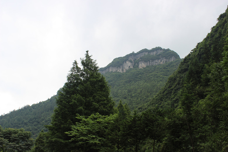 img_2576_副本.jpg