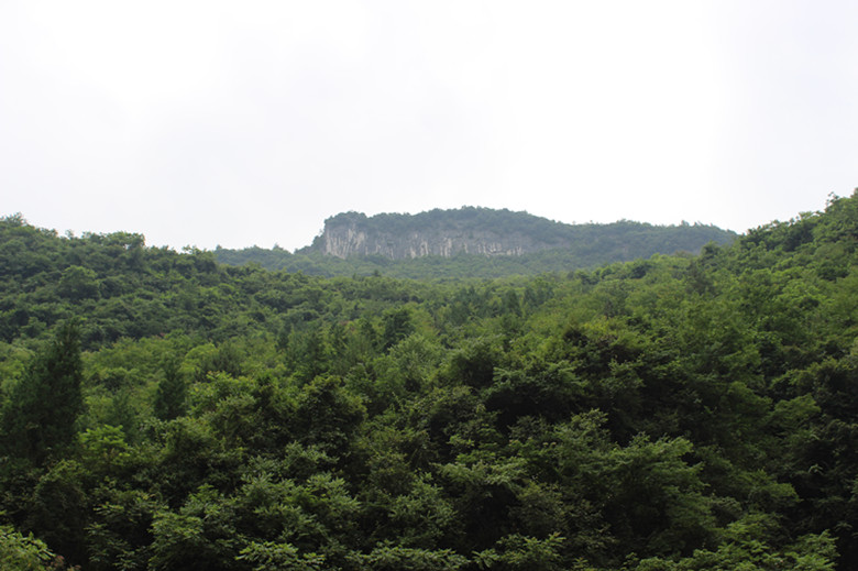 img_2577_副本.jpg