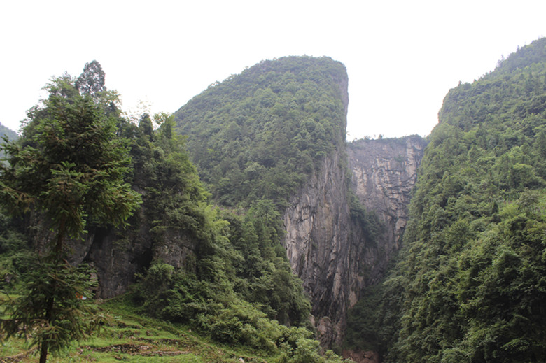 img_2503_副本.jpg