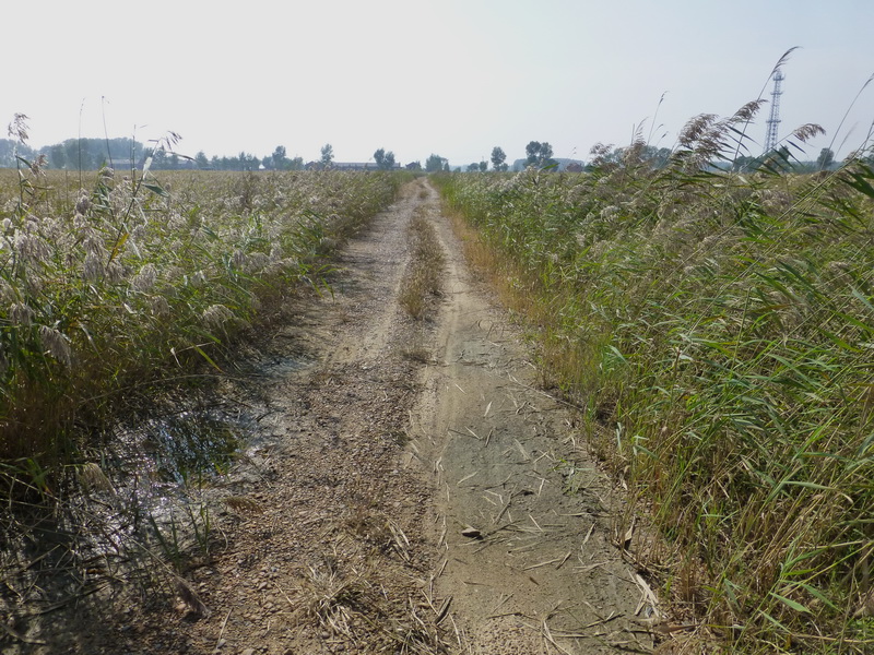 p1120232.jpg