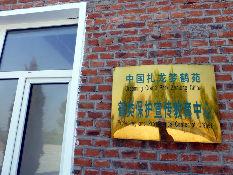 p1120235.jpg