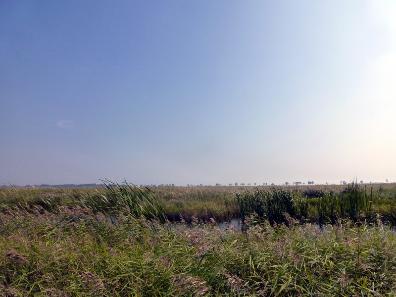 p1120223.jpg