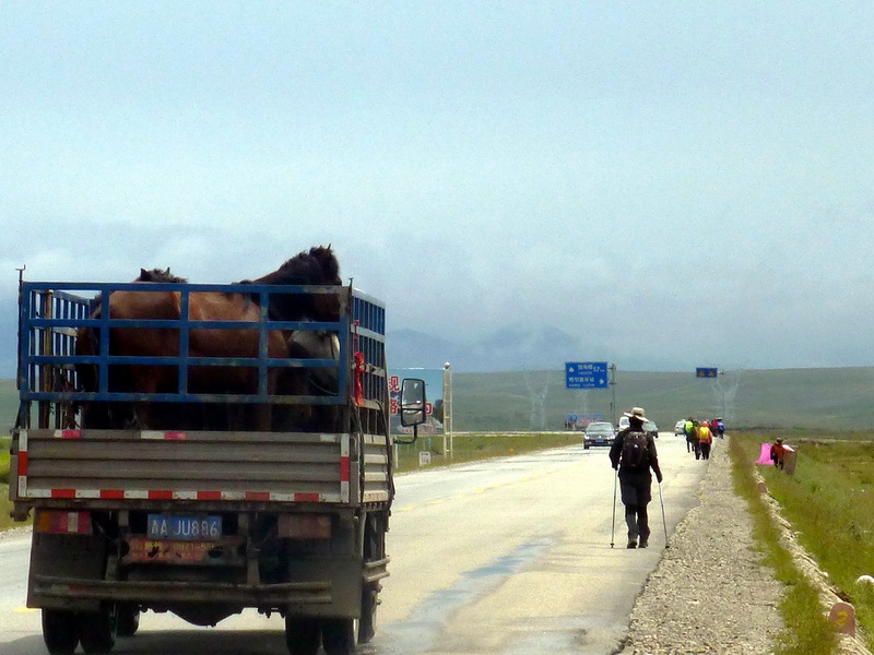 p1100825.jpg
