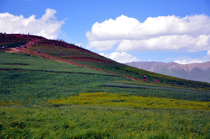 dsc_0301_.jpg