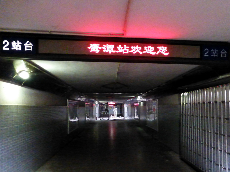 p1120778.jpg