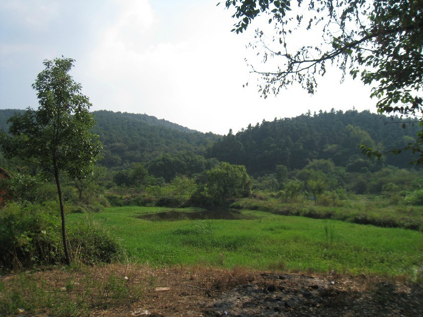 qqͼƬ20130922142423.jpg