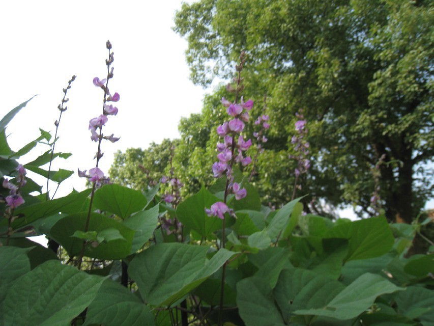 qqͼƬ20130922142433.jpg