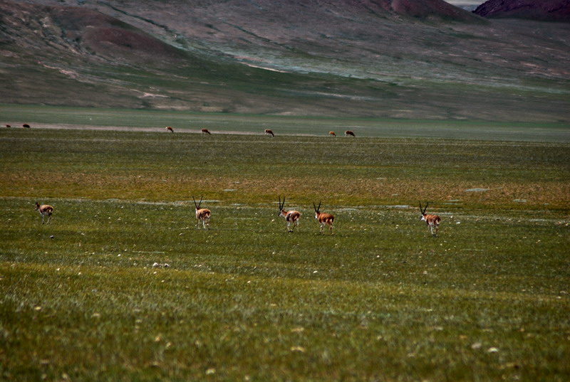 dsc_0054.jpg